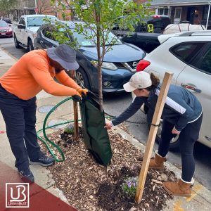 Brewers Hill Neighbors’ Spring Greening Event